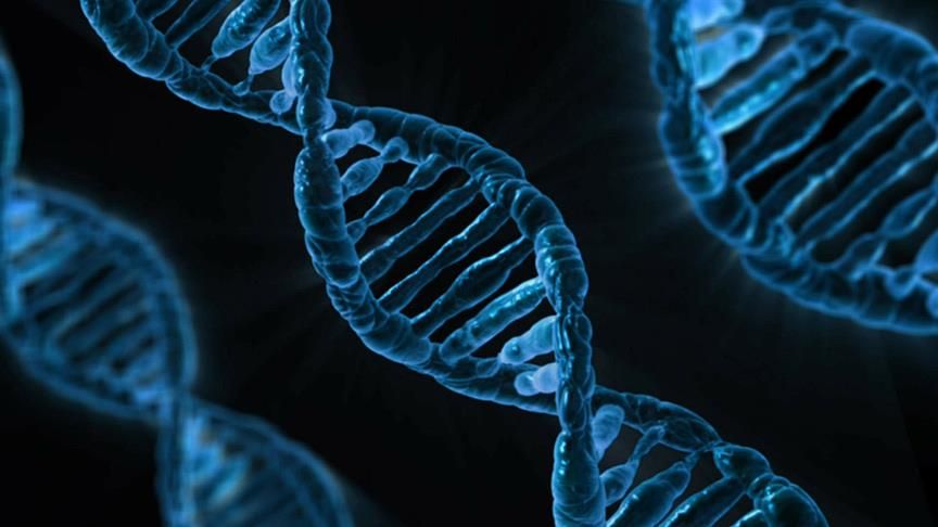İnsan DNA’sında gizli bir zayıf nokta keşfedildi. “Mozaik mutasyonları” tetikliyor