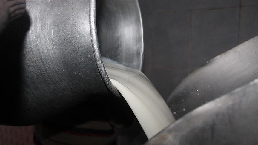 Çiğ sütte yeni fiyatlar. Sütün yağ ve protein oranı fiyatı etkileyecek