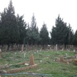 geliboluda-heyecan-yaratan-kesif-turk-tarihi-acisindan-yeni-bir-sayfa-acildi-4-EB57a53G.jpg