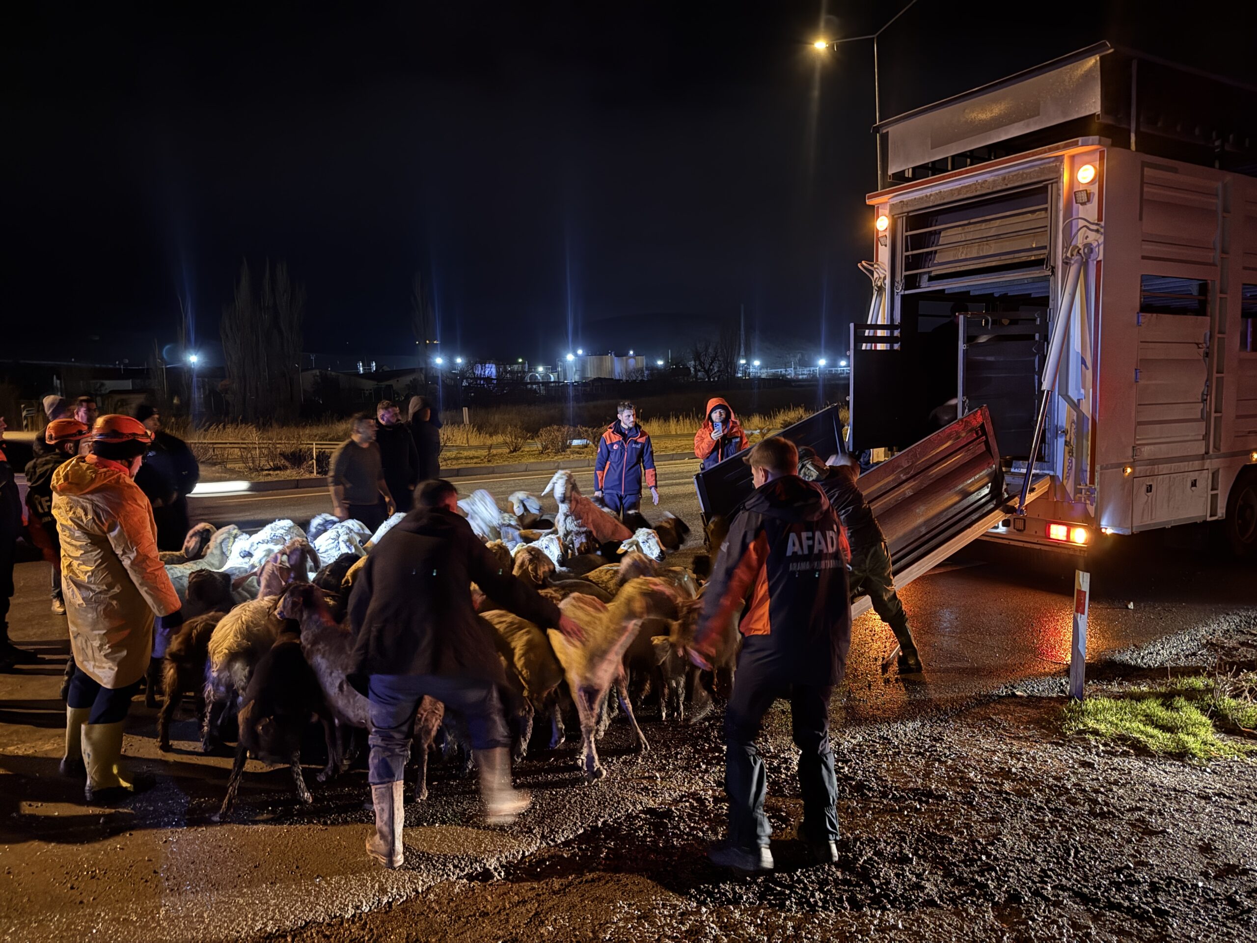 Kayseri’de taşkın önlemi. 200 hayvan tahliye edildi