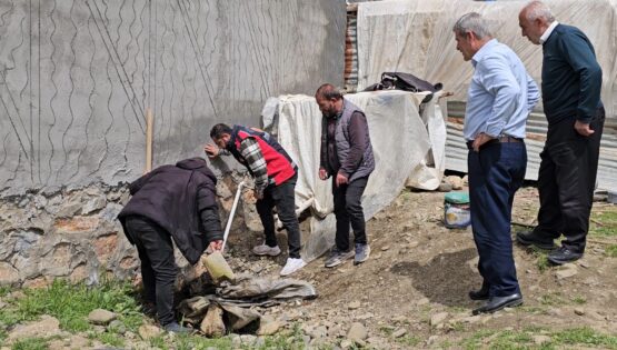 3 metrelik yılan mahalleyi korkuttu: Belediye ekipleri müdahale etti