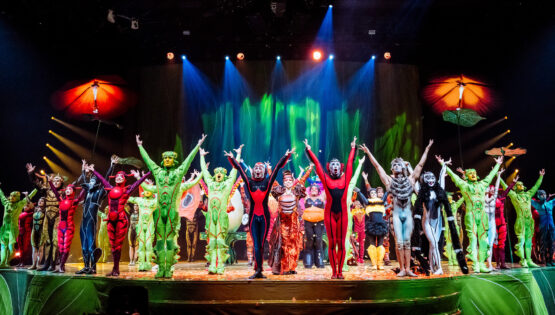 “Cirque du Soleil” İstanbul’da 4 günde 40 bin seyirciye ulaştı