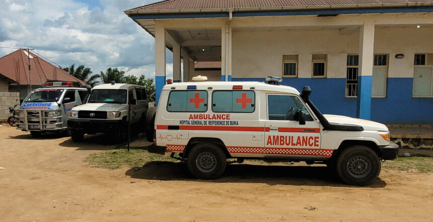 Ebola salgını. 10 Afrika ülkesi risk altında