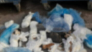 İzmir’de vahşet. Çöp konteynerinin önünde 33 ölü kedi bulundu