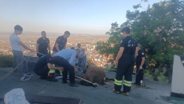 Afyonkarahisar’da bir evin çatısında sıkışan ineği itfaiye kurtardı