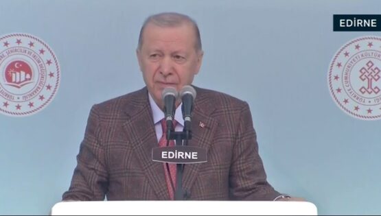Cumhurbaşkanı Erdoğan: Siz milletvekili misiniz, yoksa militan mı?