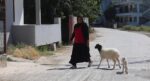 Evladını lösemiden kaybeden anne, teselliyi peşinden ayrılmayan kuzuda buldu