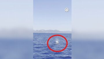 Fethiye açıklarında balina görüntülendi