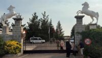 Halı sahada başlayan kavga 4 ilde hipodromlara sıçradı. 2 kişi öldü, 11 yaralı var