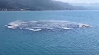 Kastamonu’da ilginç olay: Denizdeki kabarma vatandaşlarda panik yarattı