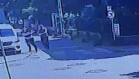 Önce vurdu sonra kemeriyle turnike yaptı