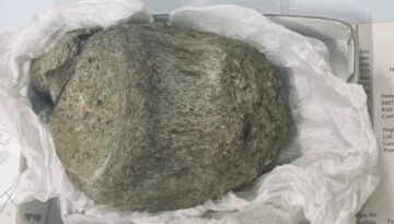 Tam 40 yıl boyunca unutuldu. Antarktika’nın en eski gizemi çekmeceden çıktı