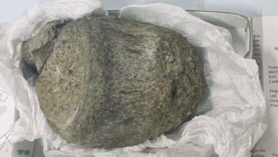 Tam 40 yıl boyunca unutuldu. Antarktika’nın en eski gizemi çekmeceden çıktı