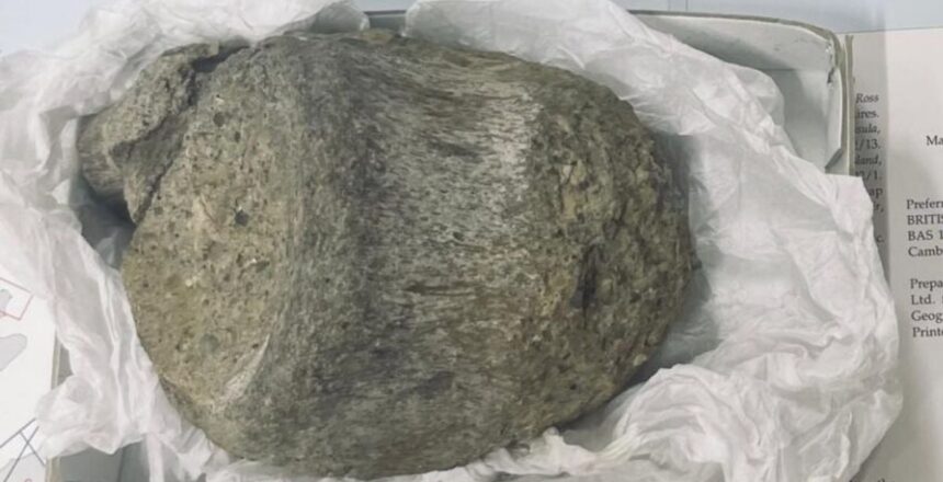 Tam 40 yıl boyunca unutuldu. Antarktika’nın en eski gizemi çekmeceden çıktı