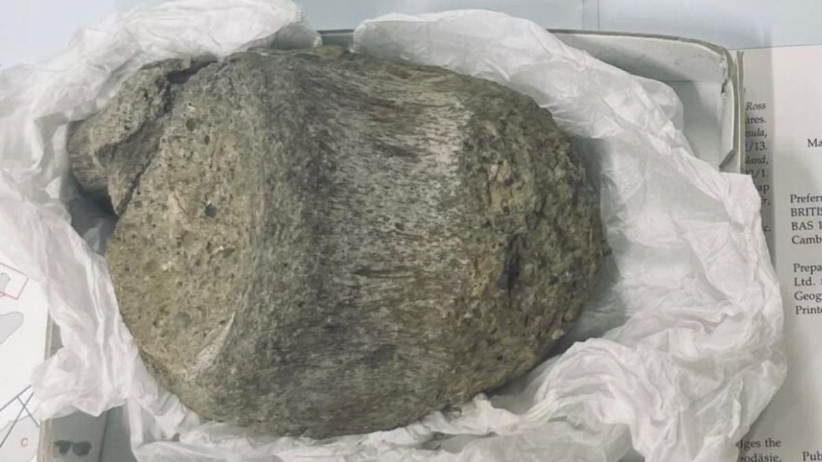 Tam 40 yıl boyunca unutuldu. Antarktika’nın en eski gizemi çekmeceden çıktı