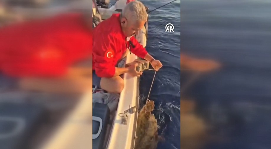 Vicdansızlık pes dedirtti: Ayağına taş bağlanan caretta caretta kurtarıldı
