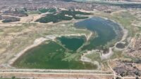 2023’te tamamen kurumuştu. Uzun süre sonra ilk defa böyle görüntülendi