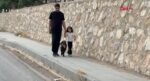 Annesiz kalan kuzuya şefkat eli: Biberonla büyütüyor