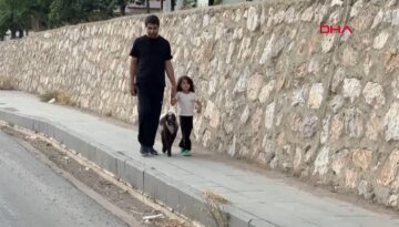 Annesiz kalan kuzuya şefkat eli: Biberonla büyütüyor