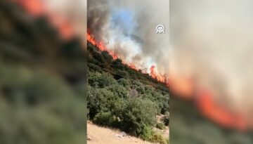 Antalya’da makilik alanda yangın