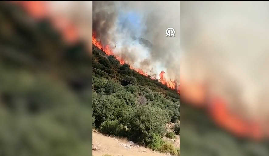 Antalya’da makilik alanda yangın