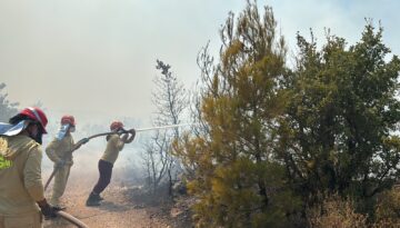 Balıkesir’de orman yangını: Ekipler müdahale ediyor