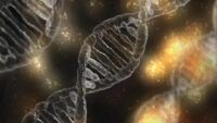Çin’de çocuk ölümüne neden olan genetik deney iddialarına yönelik araştırma başlatıldı