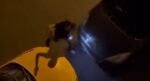 Esenyurt’ta öfkeli ağabey, kız kardeşiyle tartışan adamın evini silahla bastı