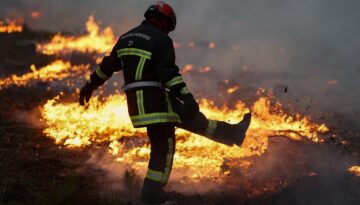 Fransa ve İspanya’da orman yangınları devam ediyor. Asker sahaya indi