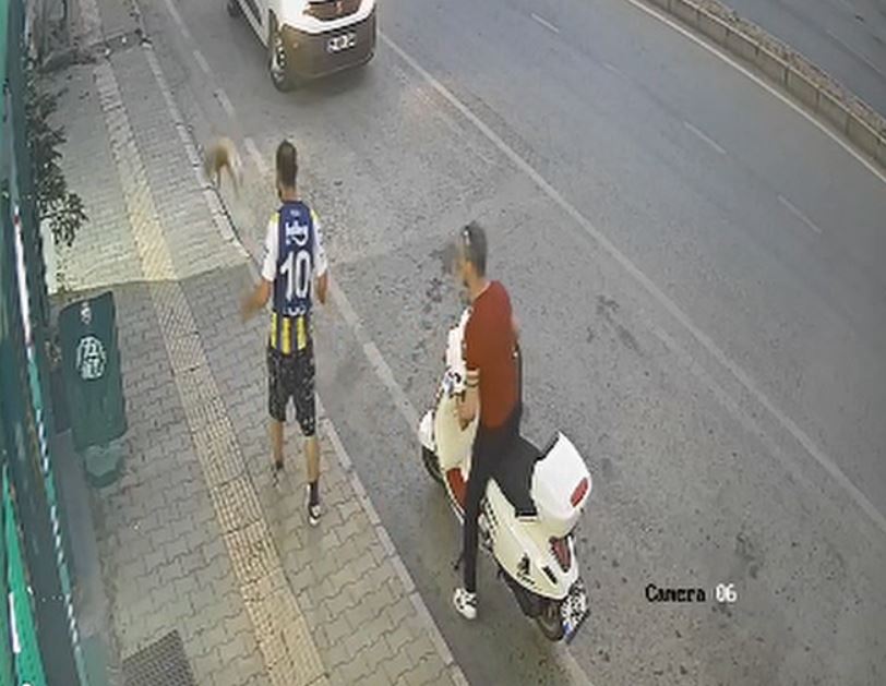 Görüntüler sosyal medyada gündem olmuştu: Kediyi tekmeleyen şüpheli yakalandı