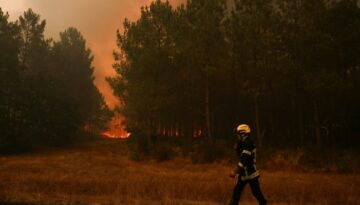 Güney Avrupa’da orman yangınları binlerce kişiyi yerinden etti
