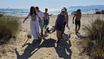 İzmir ve Aydın’da 3 caretta caretta sahilde ölü bulundu