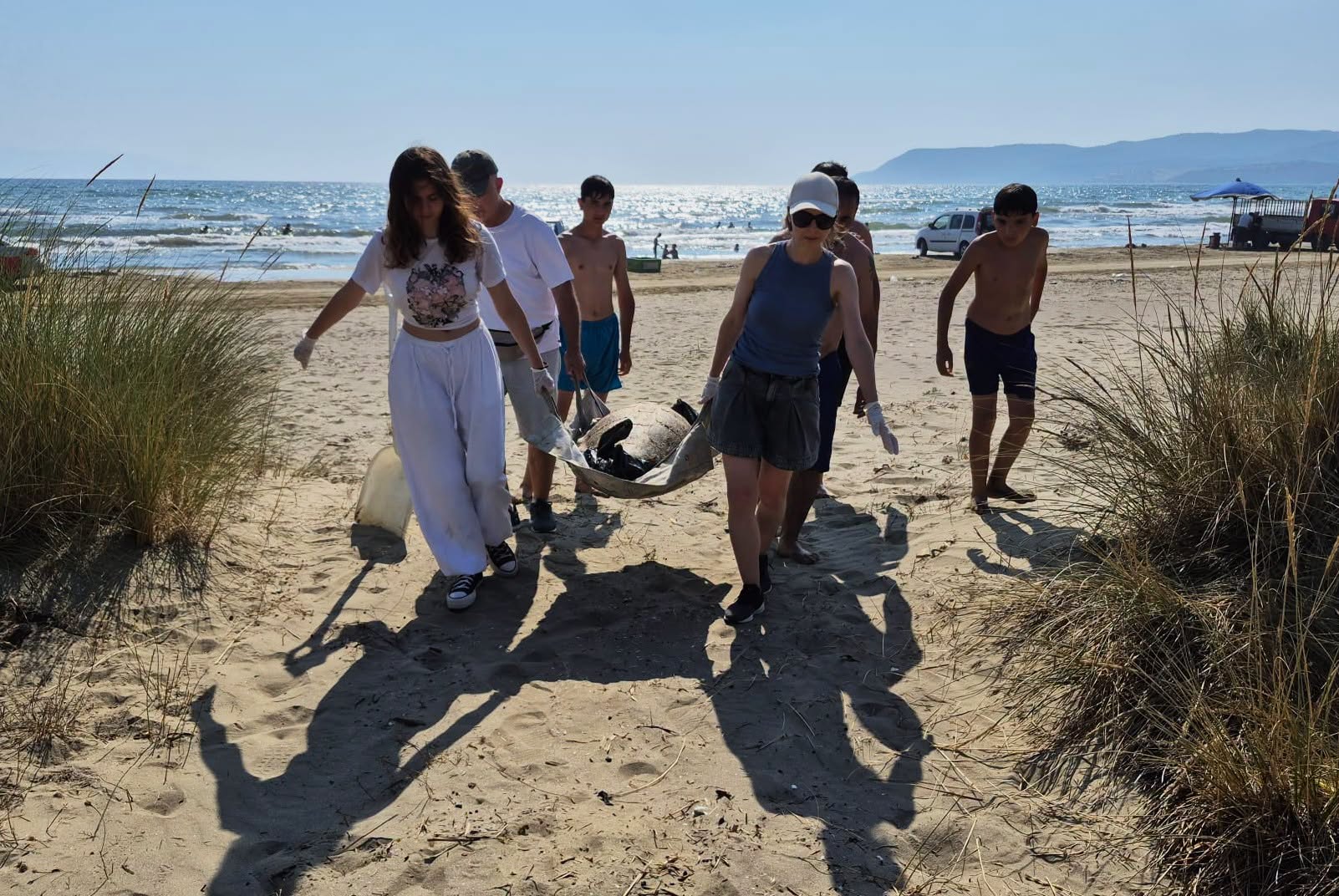 İzmir ve Aydın’da 3 caretta caretta sahilde ölü bulundu