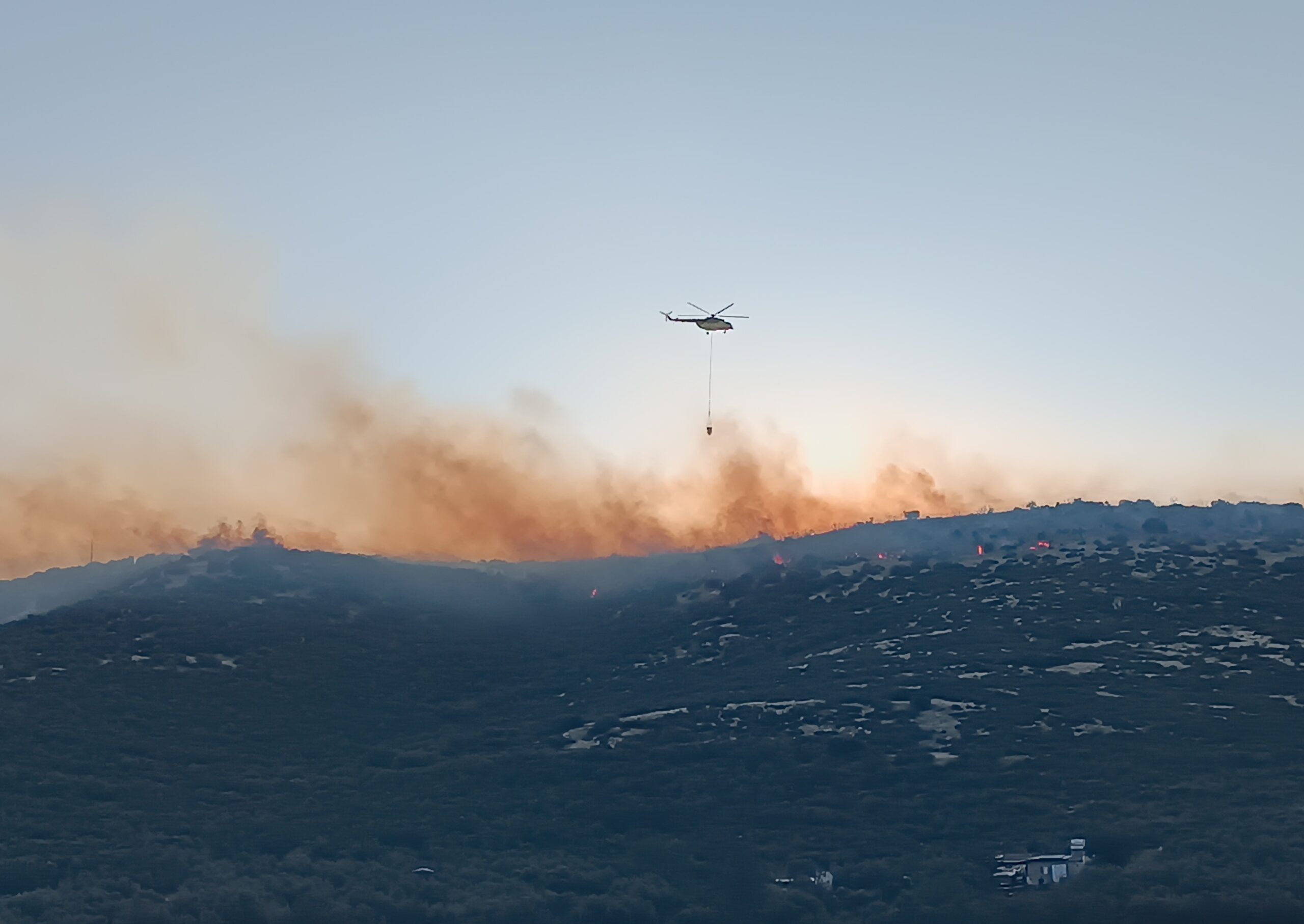 İzmir’de orman yangını. Havadan ve karadan müdahale ediliyor