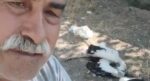 Leyleklerin öldüğünü görünce gözyaşlarına boğuldu: “Sahip çıkamadım”