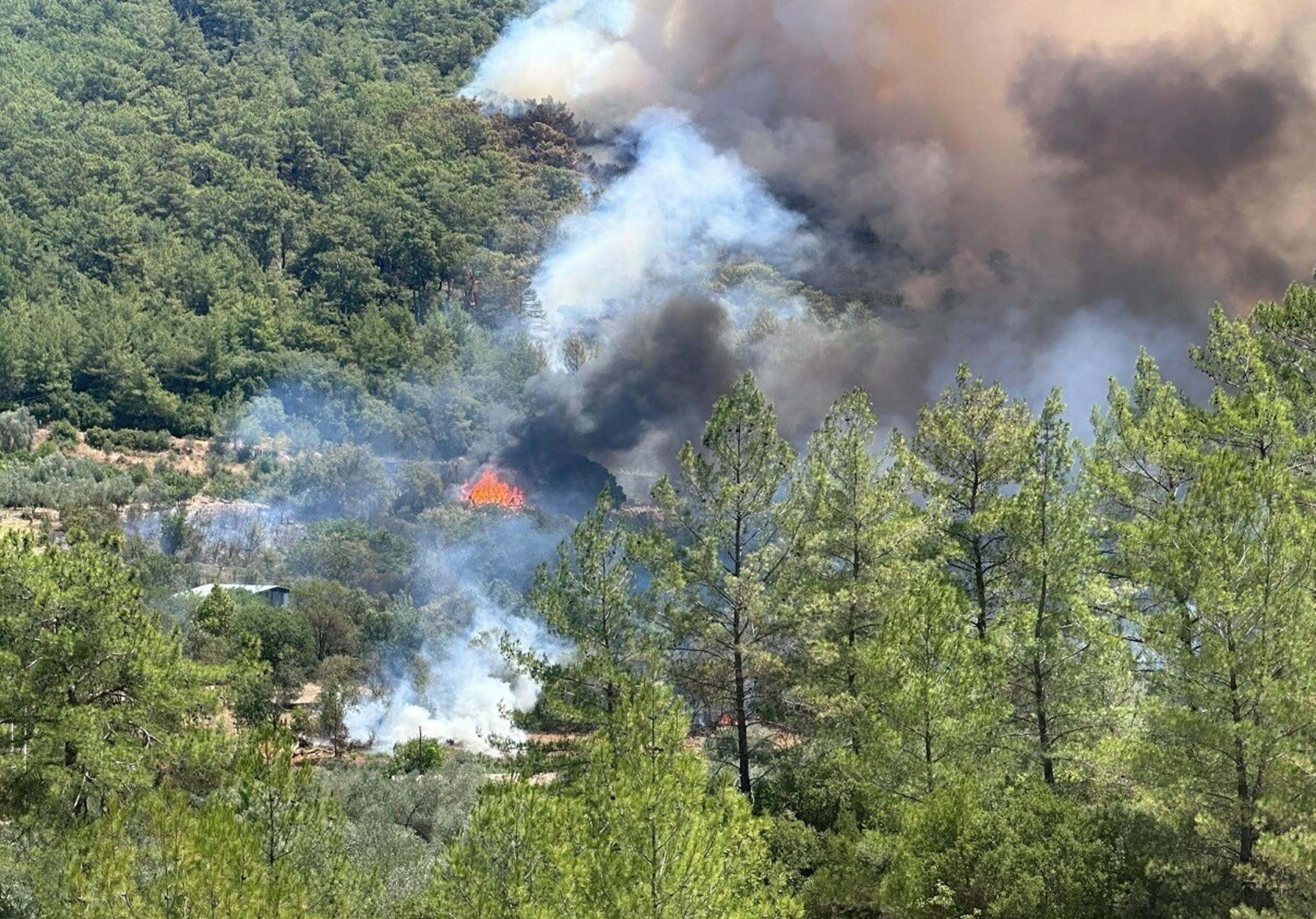 Muğla ve Antalya’da orman yangını. Ekipler sevk edildi