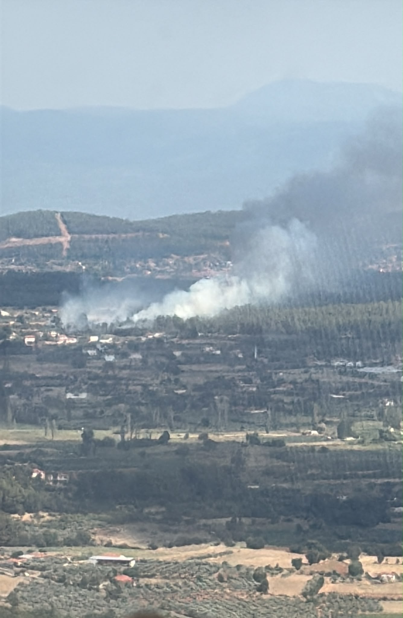 Muğla’da orman yangını. Havadan ve karadan müdahale ediliyor