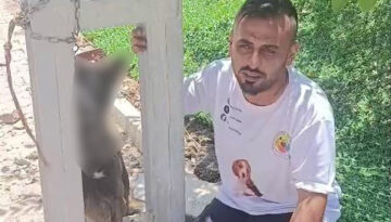 Sahipli köpeği zehirleyip direğe astılar