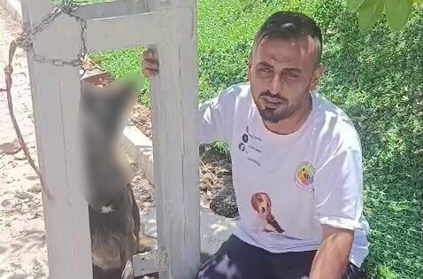 Sahipli köpeği zehirleyip direğe astılar