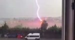 Tekirdağ’da palmiye ağacına yıldırım düştü, alev alev yandı