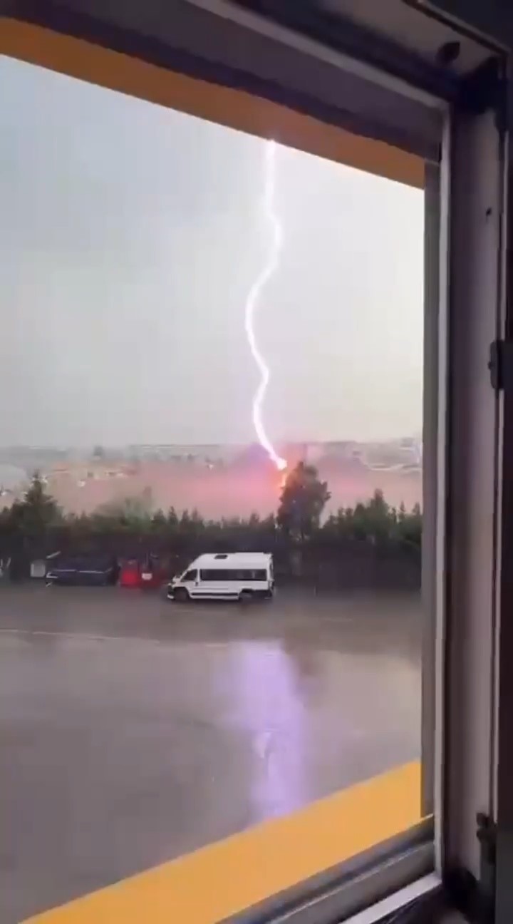 Tekirdağ’da palmiye ağacına yıldırım düştü, alev alev yandı
