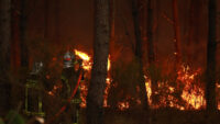 Türkiye’den Fransa’ya söndürme uçağı desteği | Macron: Teşekkürler Türkiye
