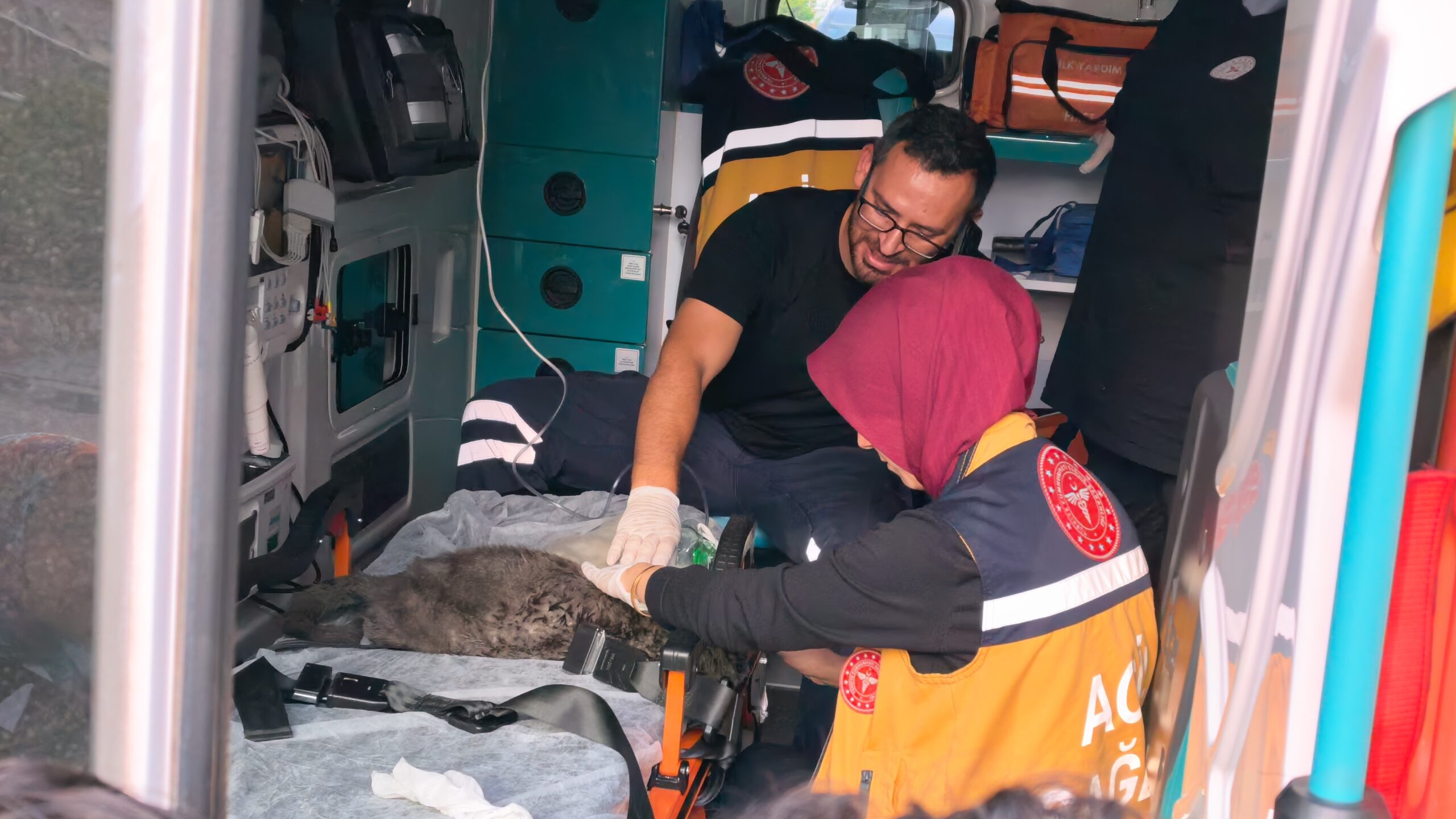 Yangında dumandan etkilenen Duman ve 2 yavrusu kalp masajıyla kurtarıldı