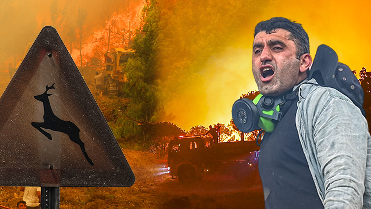 73 orman yangınına soruşturma. 12 kişi tutuklandı