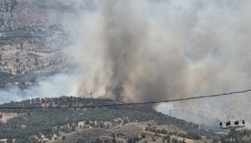 Adıyaman’da orman yangını. Ekipler müdahale ediyor