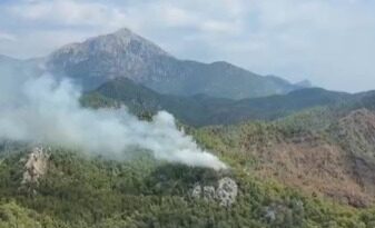 Antalya ve Balıkesir’de orman yangını