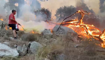Antalya’da orman yangını. Yangın tüplerini eşekle taşıdılar