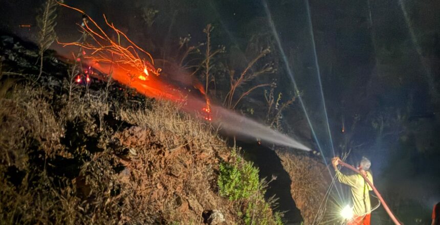 Antalya’daki orman yangını kontrol altına alındı
