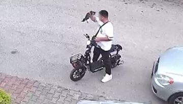 Bolu’da vahşet: Yavru kediyi önce öptü, sonra boğdu