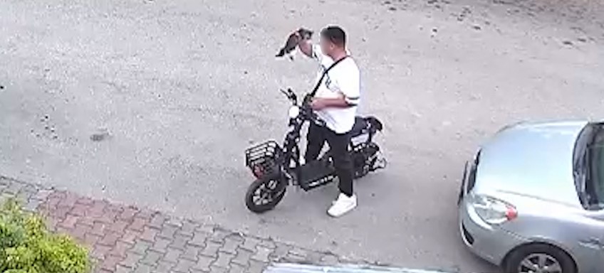 Bolu’da vahşet: Yavru kediyi önce öptü, sonra boğdu